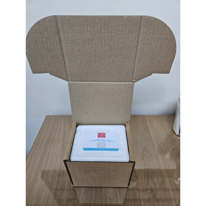 Gold Laser Corydoaras sp CW10 x4 ,free delivery