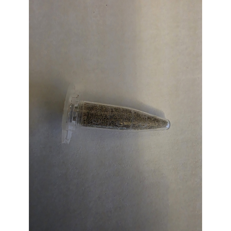 Freshwater Fairy Shrimp Eggs