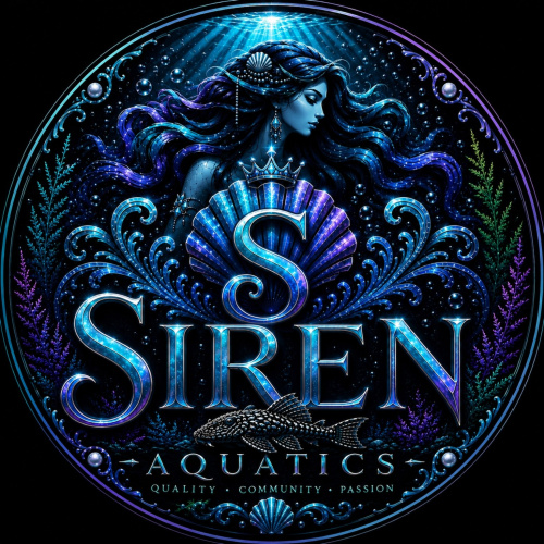 Siren Aquatics