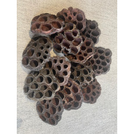 5x Lotus Pods + Free Kuchila Cups