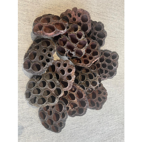 5x Lotus Pods + Free Kuchila Cups