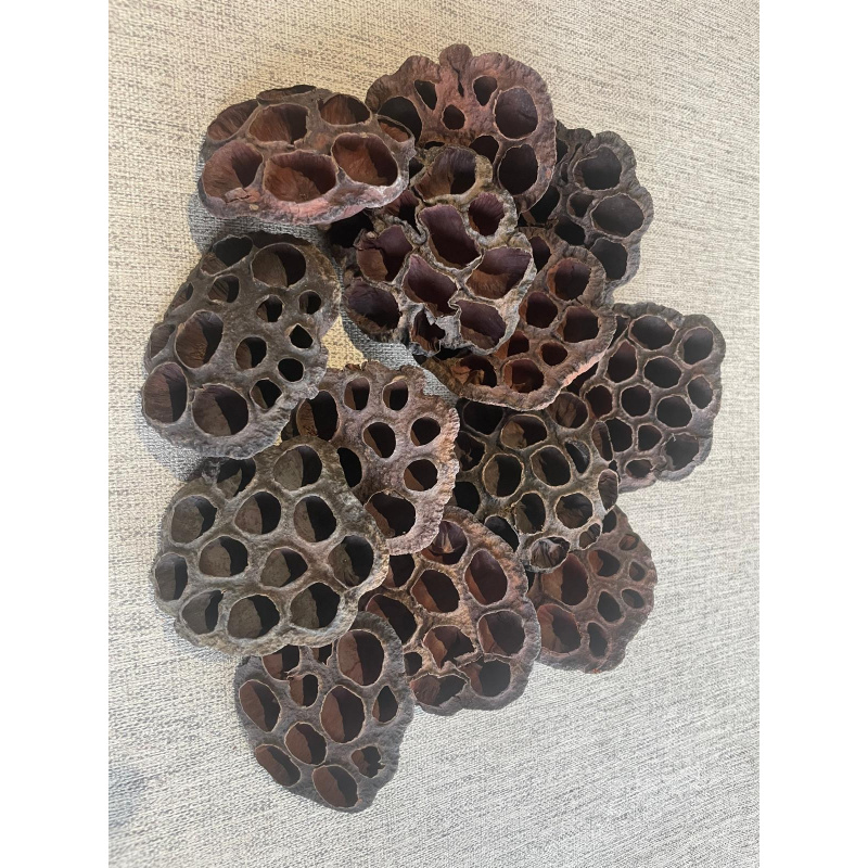 5x Lotus Pods + Free Kuchila Cups