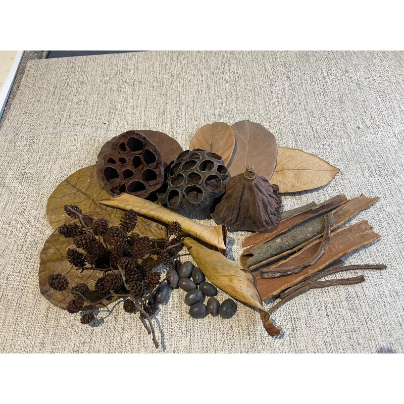Large Botanicals Box, Blackwater set up/ Benifical tanning, preventing, disess, + Decor.
