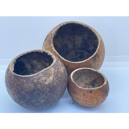 12x Mixed Sized Kuchila Cups, Natural Hide, For Breeding, Molting, Bio Food.