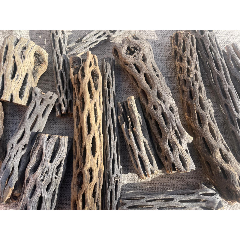 10x Cholla Wood