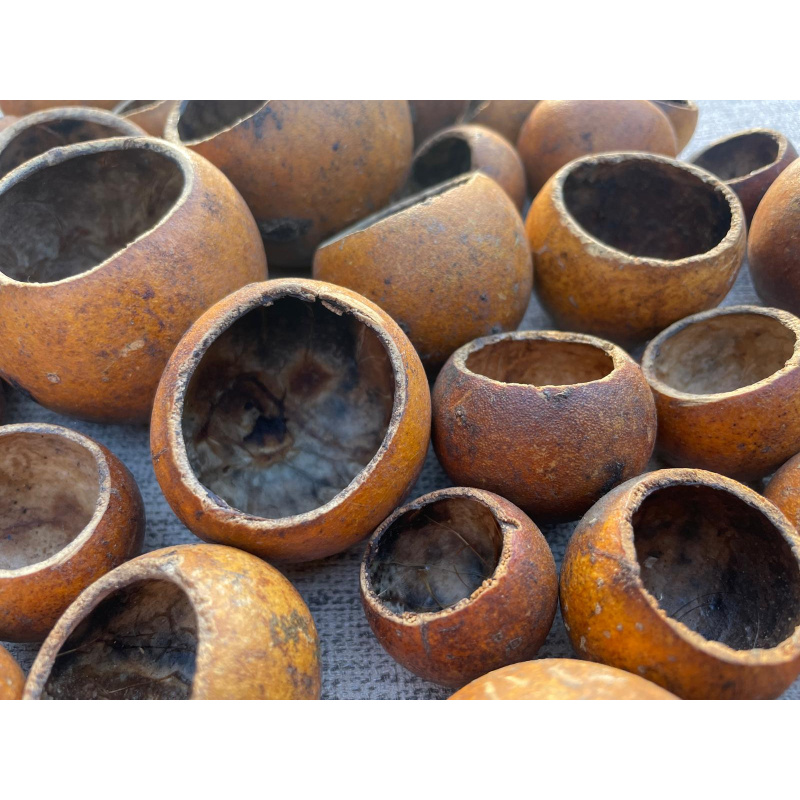 12x Mixed Sized Kuchila Cups, Natural Hide, For Breeding, Molting, Bio Food.