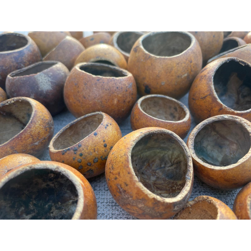 12x Mixed Sized Kuchila Cups, Natural Hide, For Breeding, Molting, Bio Food.