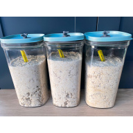 Large Starter Culture - Micro Banana Walter Worm. Fish Fry Shrimp Food.
