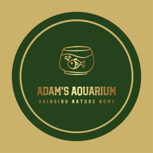 Adam's Aquarium